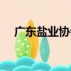廣東鹽業(yè)協(xié)會(huì)（關(guān)于廣東鹽業(yè)協(xié)會(huì)介紹）