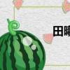 田曦薇屈楚蕭（田卷卷）