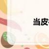 當(dāng)皮襖（關(guān)于當(dāng)皮襖介紹）