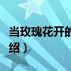 當(dāng)玫瑰花開的時(shí)候（關(guān)于當(dāng)玫瑰花開的時(shí)候介紹）