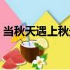 當(dāng)秋天遇上秋天（關(guān)于當(dāng)秋天遇上秋天介紹）