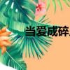 當(dāng)愛成碎片（關(guān)于當(dāng)愛成碎片介紹）