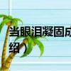 當(dāng)眼淚凝固成子彈（關(guān)于當(dāng)眼淚凝固成子彈介紹）