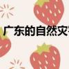 廣東的自然災(zāi)害（關(guān)于廣東的自然災(zāi)害介紹）