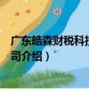 廣東皓森財(cái)稅科技有限公司（關(guān)于廣東皓森財(cái)稅科技有限公司介紹）