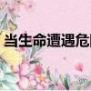 當(dāng)生命遭遇危險（關(guān)于當(dāng)生命遭遇危險介紹）