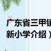 廣東省三甲鎮(zhèn)大新小學(xué)（關(guān)于廣東省三甲鎮(zhèn)大新小學(xué)介紹）