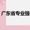 廣東省專業(yè)強(qiáng)鎮(zhèn)（關(guān)于廣東省專業(yè)強(qiáng)鎮(zhèn)介紹）
