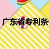 廣東省專利條例（關(guān)于廣東省專利條例介紹）
