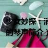 少女妙探：消逝的琴聲（關于少女妙探：消逝的琴聲簡介）