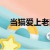 當(dāng)貓愛上老鼠（關(guān)于當(dāng)貓愛上老鼠介紹）