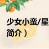少女小蠻/星語系列（關(guān)于少女小蠻/星語系列簡介）