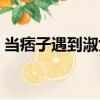 當痞子遇到淑女（關(guān)于當痞子遇到淑女介紹）