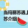 當(dāng)瑪麗蘇遇上湯姆蘇（關(guān)于當(dāng)瑪麗蘇遇上湯姆蘇介紹）