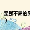堅(jiān)強(qiáng)不屈的反義詞怎么讀（堅(jiān)強(qiáng)不屈的反義詞）