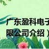 廣東盈科電子有限公司（關(guān)于廣東盈科電子有限公司介紹）