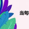 當(dāng)?shù)榇澹P(guān)于當(dāng)?shù)榇褰榻B）