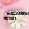廣東盈方創(chuàng)投集團有限公司（關(guān)于廣東盈方創(chuàng)投集團有限公司介紹）