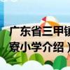 廣東省三甲鎮(zhèn)中寮小學(xué)（關(guān)于廣東省三甲鎮(zhèn)中寮小學(xué)介紹）