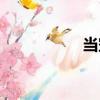 當(dāng)空（關(guān)于當(dāng)空介紹）