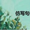 仿寫句子練習(xí)（仿寫句子練習(xí)）
