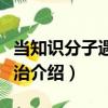 當(dāng)知識(shí)分子遇到政治（關(guān)于當(dāng)知識(shí)分子遇到政治介紹）