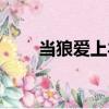 當(dāng)狼愛上羊（關(guān)于當(dāng)狼愛上羊介紹）