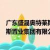 廣東盛晟奧特萊斯置業(yè)集團(tuán)有限公司（關(guān)于廣東盛晟奧特萊斯置業(yè)集團(tuán)有限公司介紹）