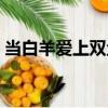 當(dāng)白羊愛上雙魚（關(guān)于當(dāng)白羊愛上雙魚介紹）