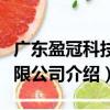 廣東盈冠科技有限公司（關(guān)于廣東盈冠科技有限公司介紹）