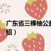 廣東省三棵柚公益基金會（關(guān)于廣東省三棵柚公益基金會介紹）