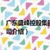 廣東盛峰控股集團(tuán)有限公司（關(guān)于廣東盛峰控股集團(tuán)有限公司介紹）