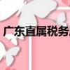 廣東直屬稅務(wù)局（關(guān)于廣東直屬稅務(wù)局介紹）