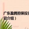 廣東盈騰擔保投資有限公司（關(guān)于廣東盈騰擔保投資有限公司介紹）