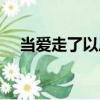 當(dāng)愛(ài)走了以后（關(guān)于當(dāng)愛(ài)走了以后介紹）