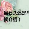 當(dāng)石頭還是鳥的時(shí)候（關(guān)于當(dāng)石頭還是鳥的時(shí)候介紹）