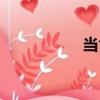 當肯（關于當肯介紹）
