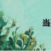 當(dāng)耍（關(guān)于當(dāng)耍介紹）