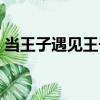 當(dāng)王子遇見王子（關(guān)于當(dāng)王子遇見王子介紹）