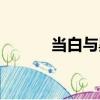當白與黑（關(guān)于當白與黑介紹）