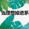 當(dāng)理想掉進(jìn)茅房（關(guān)于當(dāng)理想掉進(jìn)茅房介紹）