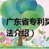 廣東省專利獎(jiǎng)勵(lì)辦法（關(guān)于廣東省專利獎(jiǎng)勵(lì)辦法介紹）