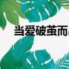 當(dāng)愛(ài)破繭而出（關(guān)于當(dāng)愛(ài)破繭而出介紹）
