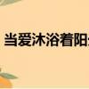 當(dāng)愛沐浴著陽(yáng)光（關(guān)于當(dāng)愛沐浴著陽(yáng)光介紹）