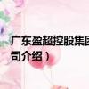 廣東盈超控股集團有限公司（關(guān)于廣東盈超控股集團有限公司介紹）