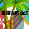 當(dāng)貓面向西邊時（關(guān)于當(dāng)貓面向西邊時介紹）
