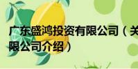 廣東盛鴻投資有限公司(關(guān)于廣東盛鴻投資有限公司介紹)