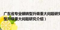 廣東省專業(yè)鎮(zhèn)轉(zhuǎn)型升級(jí)重大問題研究(關(guān)于廣東省專業(yè)鎮(zhèn)轉(zhuǎn)型升級(jí)重大問題研究介紹)