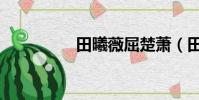 田曦薇屈楚蕭(田卷卷)