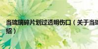 當(dāng)琉璃碎片劃過透明傷口(關(guān)于當(dāng)琉璃碎片劃過透明傷口介紹)